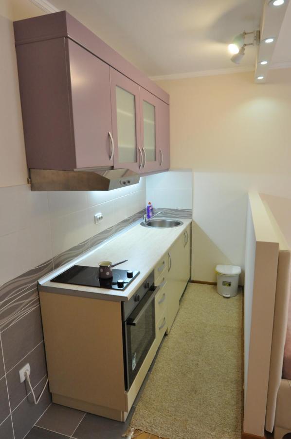 Alex 2 Apartman Vrnjacka Banja Room photo